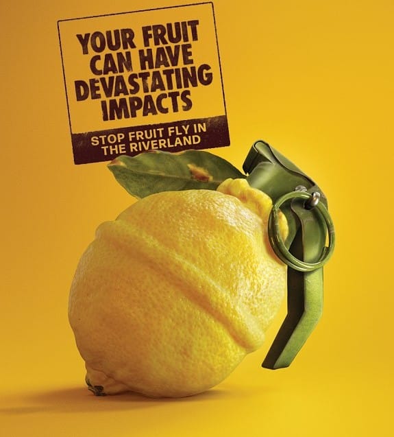 Fruit fly campaign targeting Riverland travellers