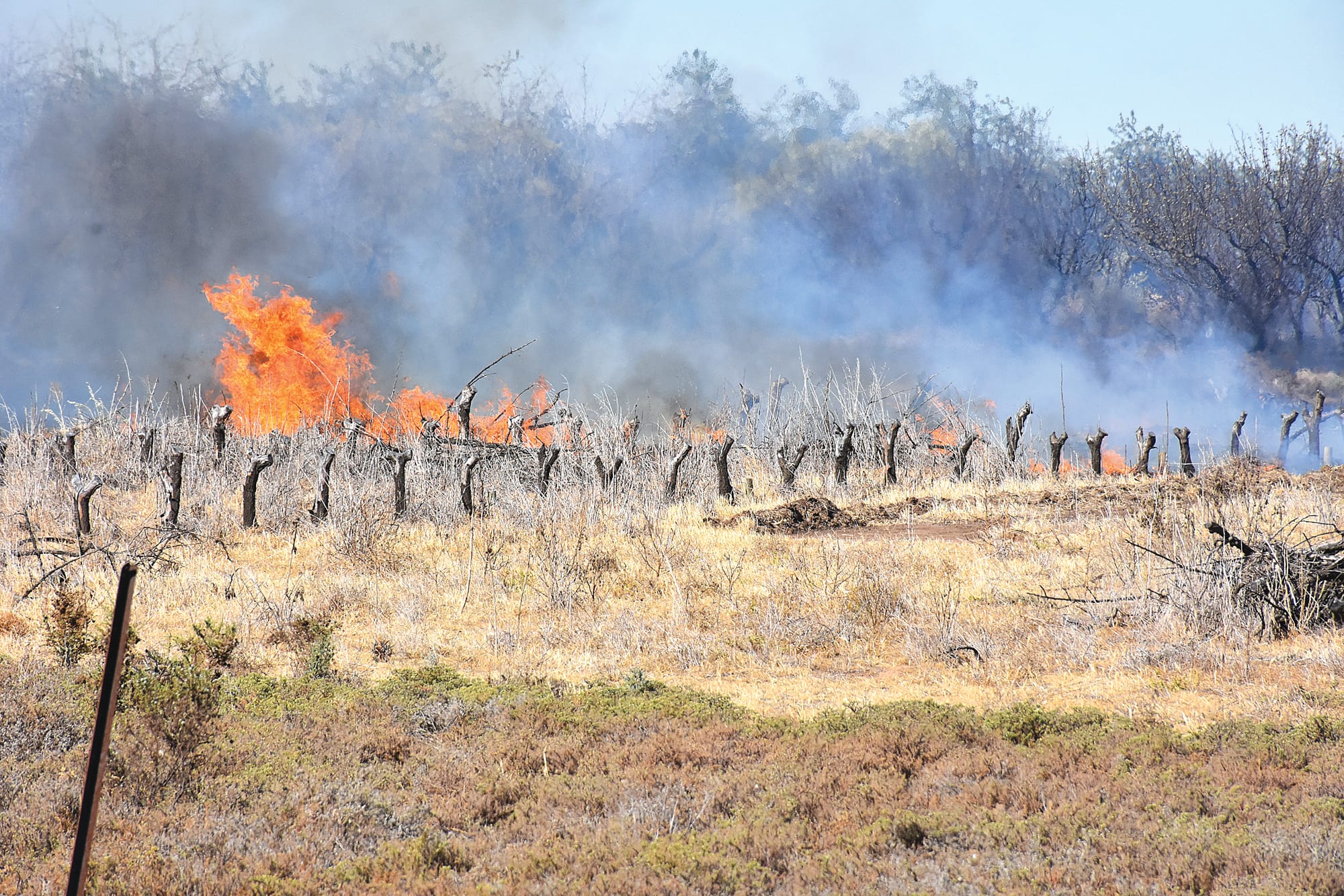 Renmark grass fire a reminder about danger season safety