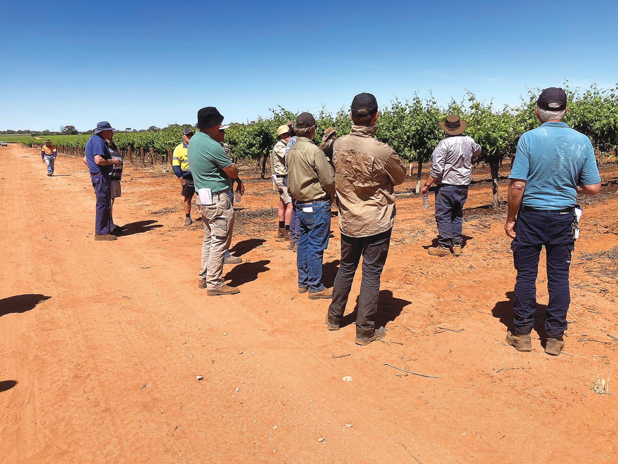 Carbon essentials for agribusiness