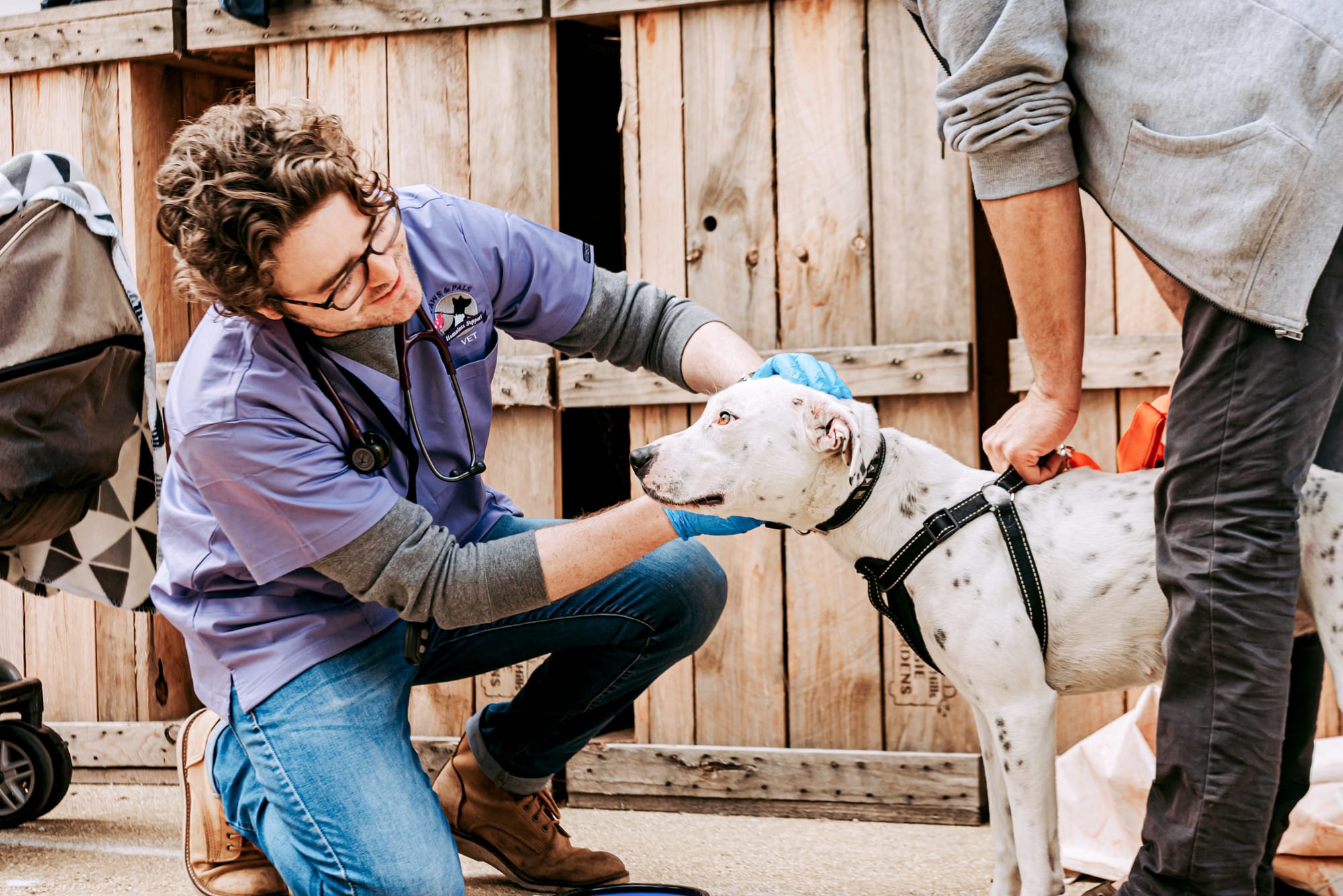 Pop-up vet clinic to provide pet support
