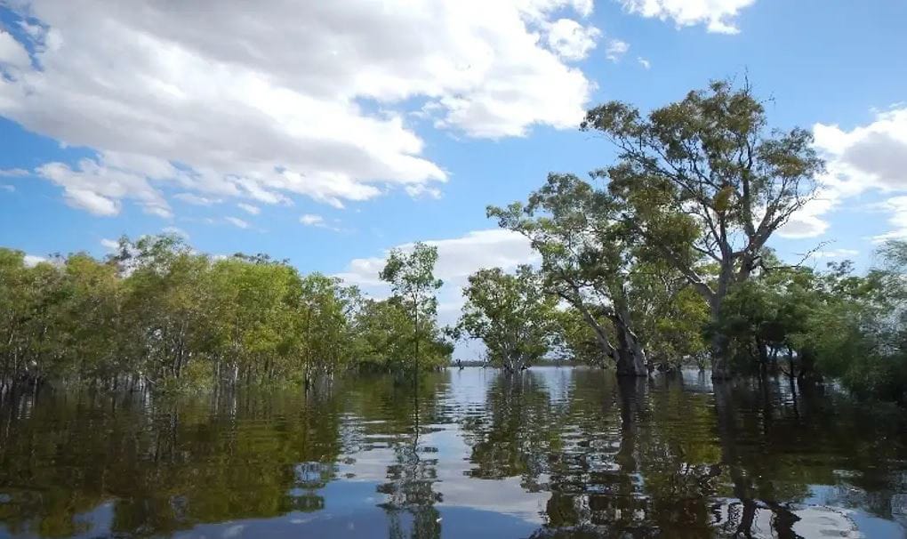 Essays highlight climate impacts on the river