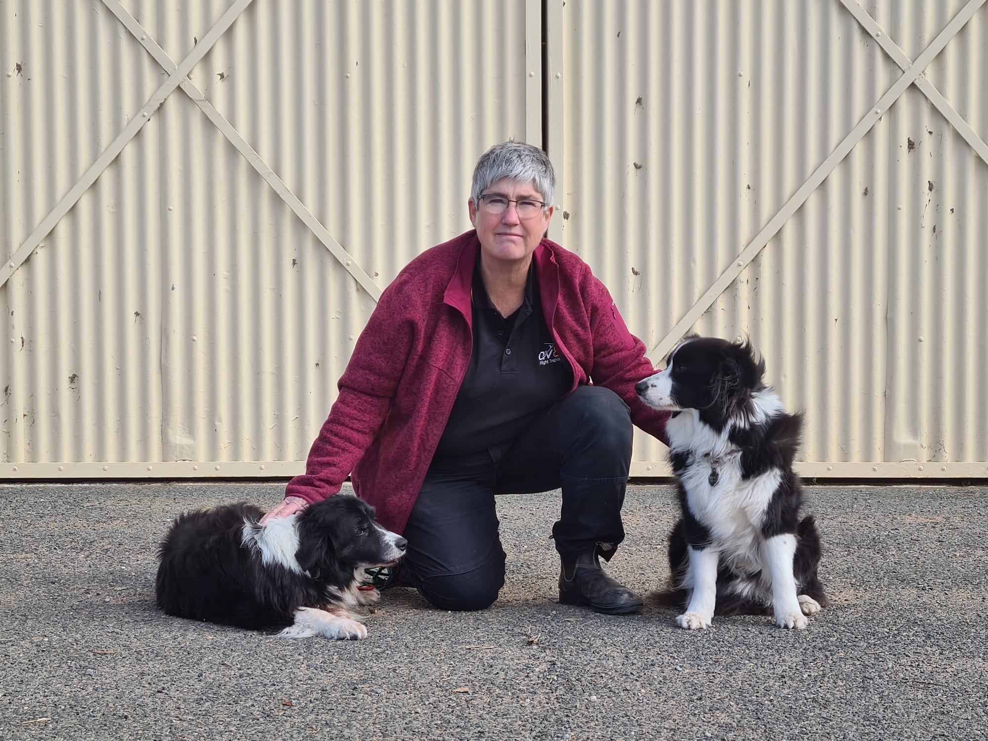 Dogs ‘safe on aerodromes’