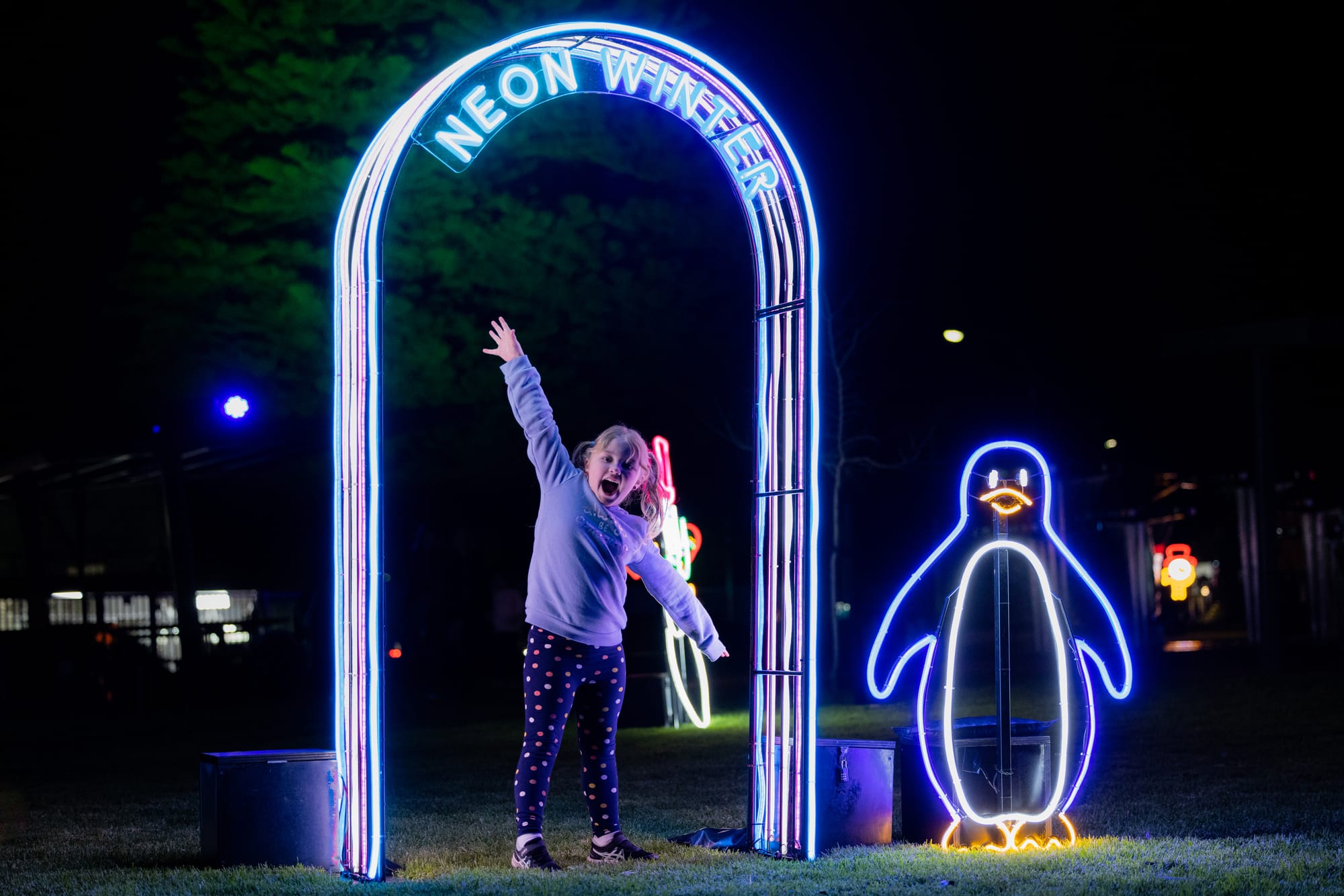 Art installations lighting up our winter nights