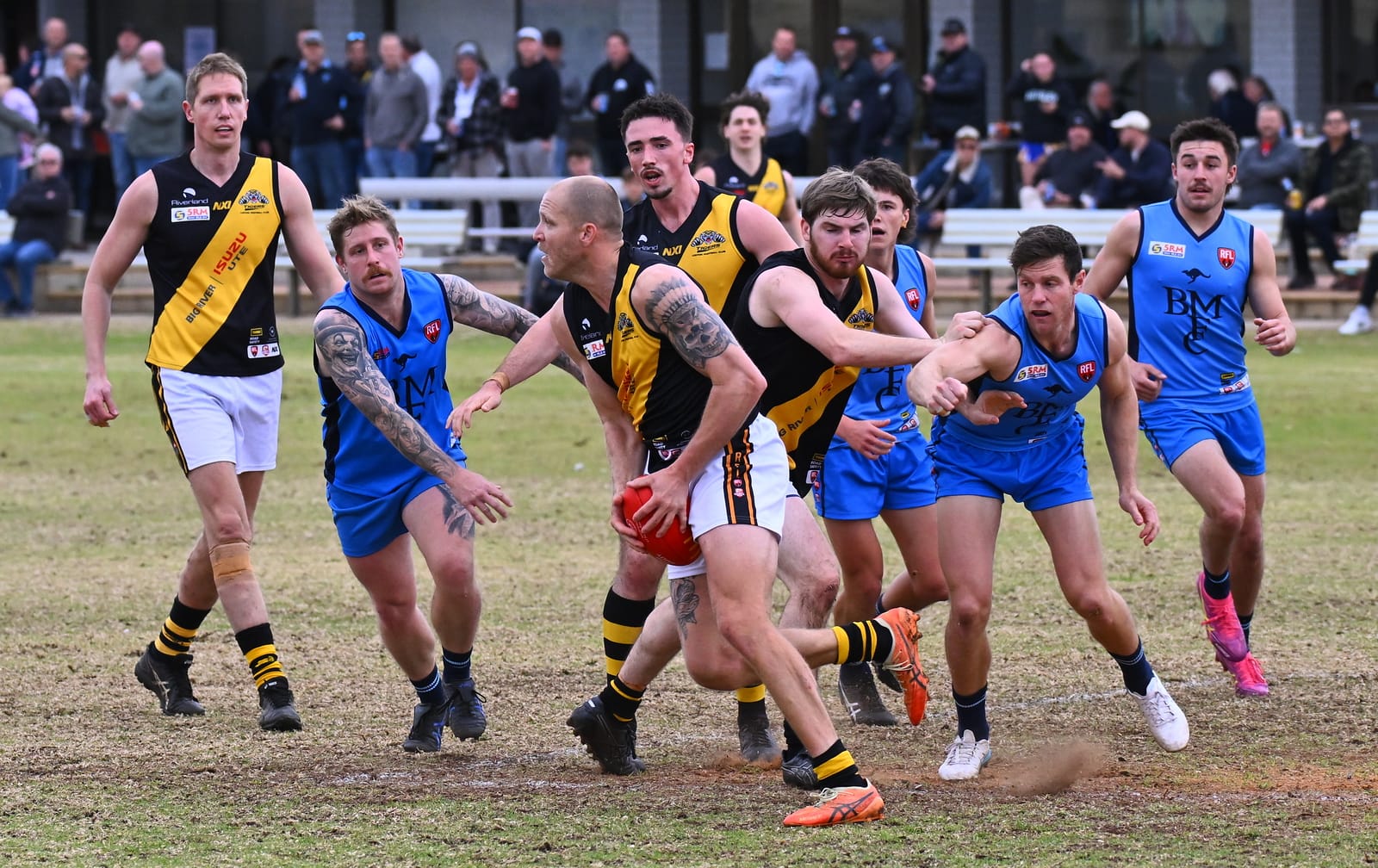 Tigers unable to match ruthless Roos