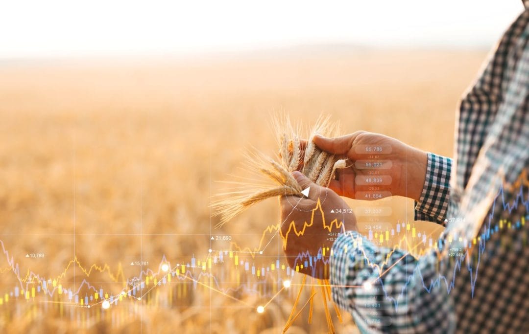 Survey shows sustainability crucial for grain
