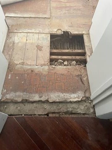 TERMITES: Calls for better maintenance of institute... Santa’s Cave in the clear