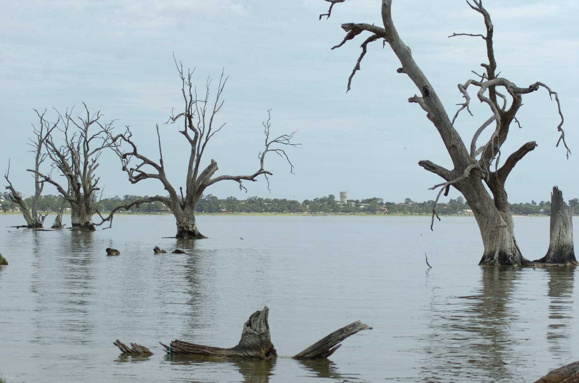 Effects down river as Victoria pauses environmental water projects