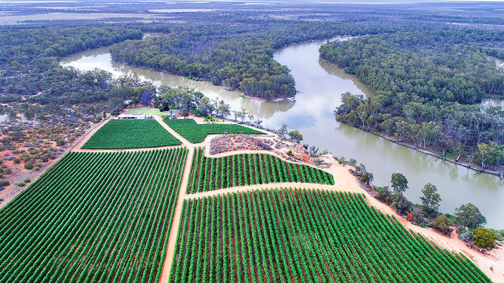 Growers ‘under siege’: No tank space for grapes, no demand
