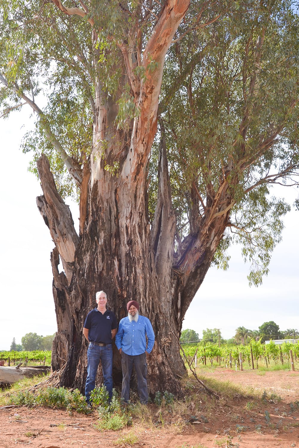 Monash community to preserve local landmark