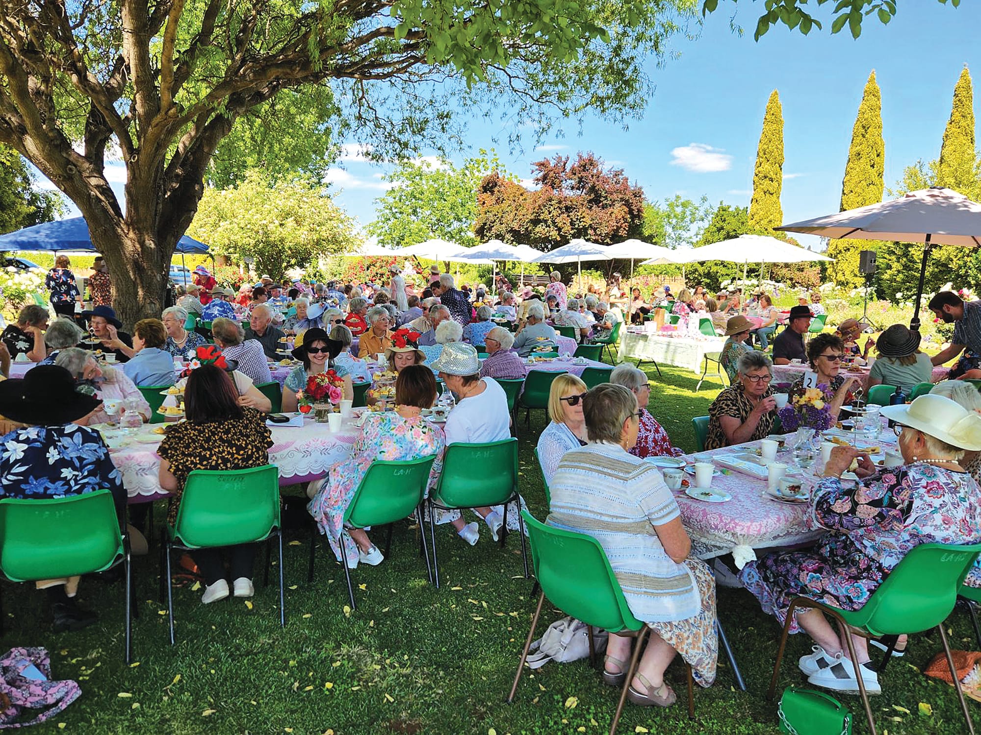 Loxton high tea a roaring success