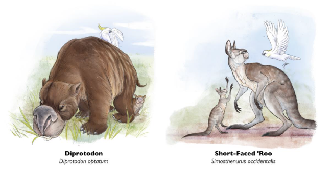 Extinct megafauna prone to ancient ‘hunger games’