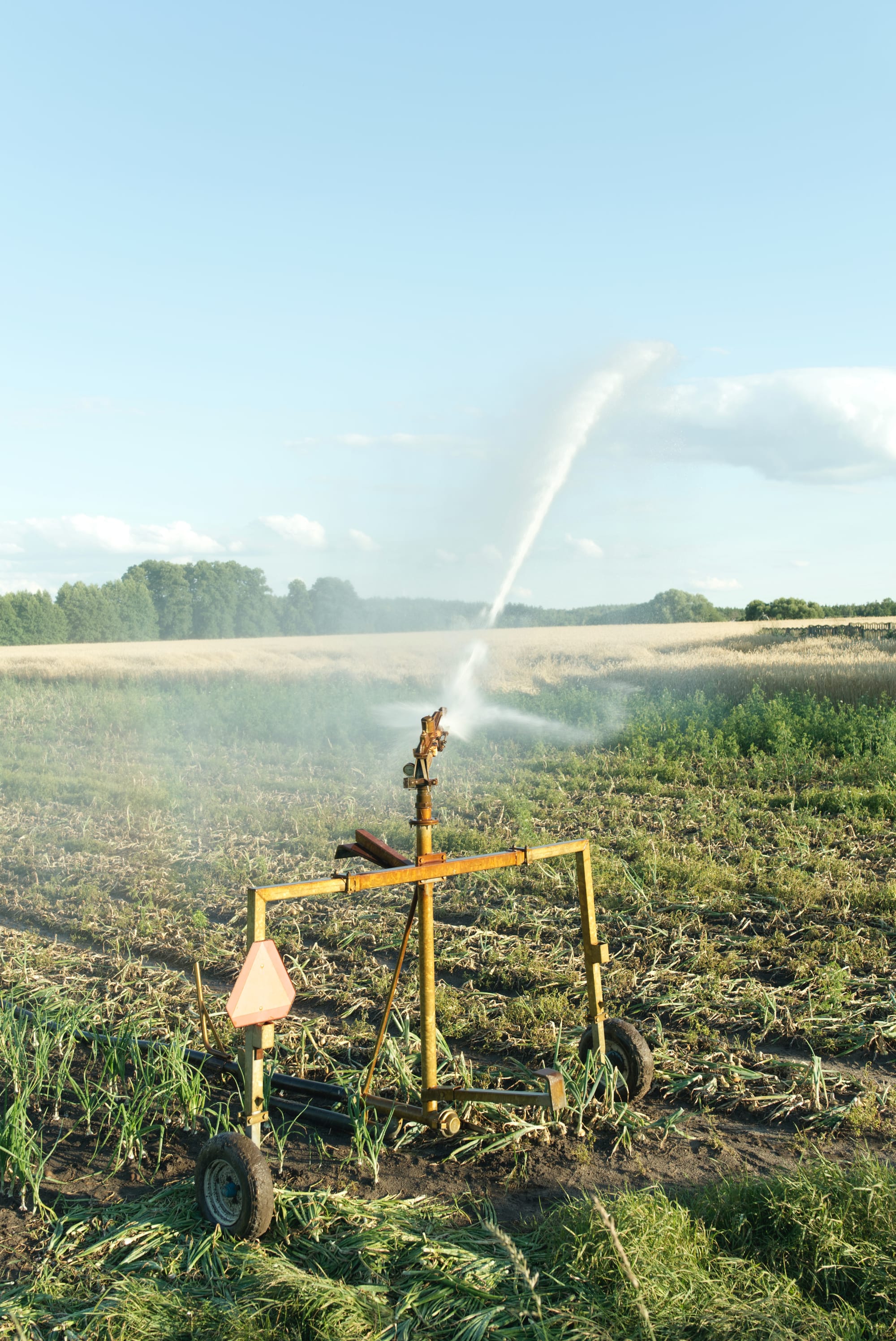 Future water security a priority in new policies