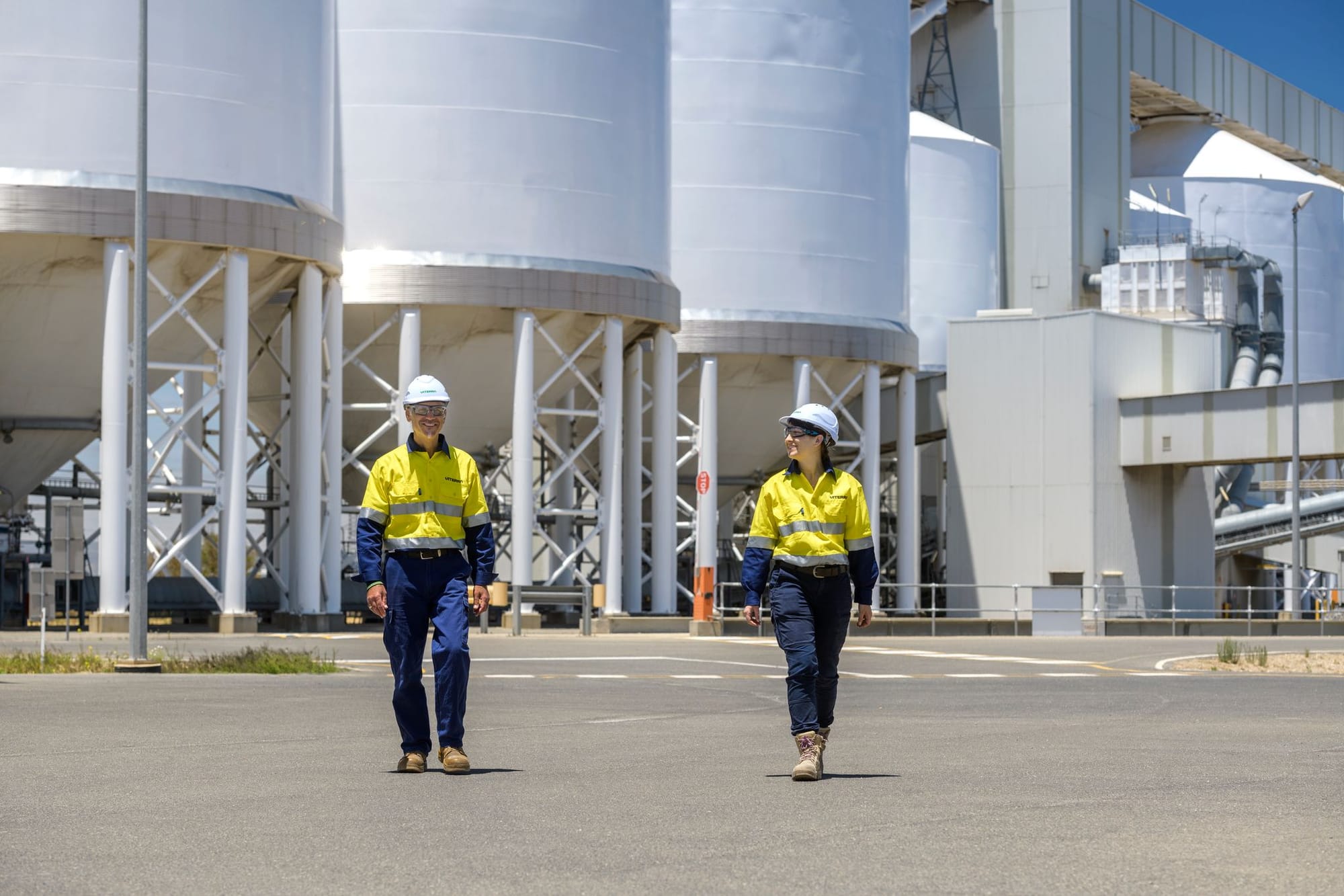 Bumper grain harvest equals bumper Viterra jobs