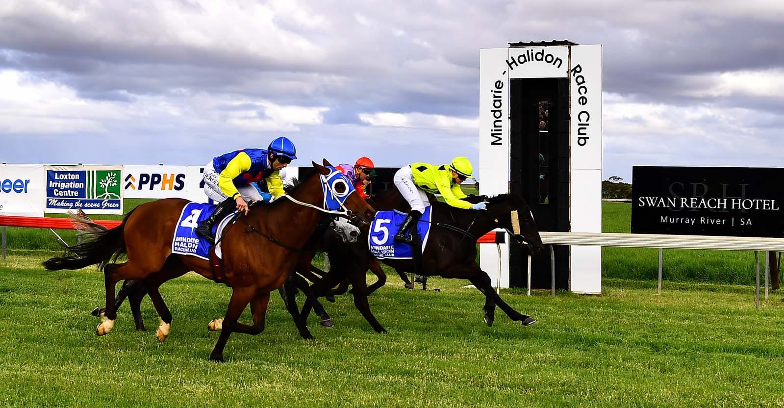 Magical mare lands cup
