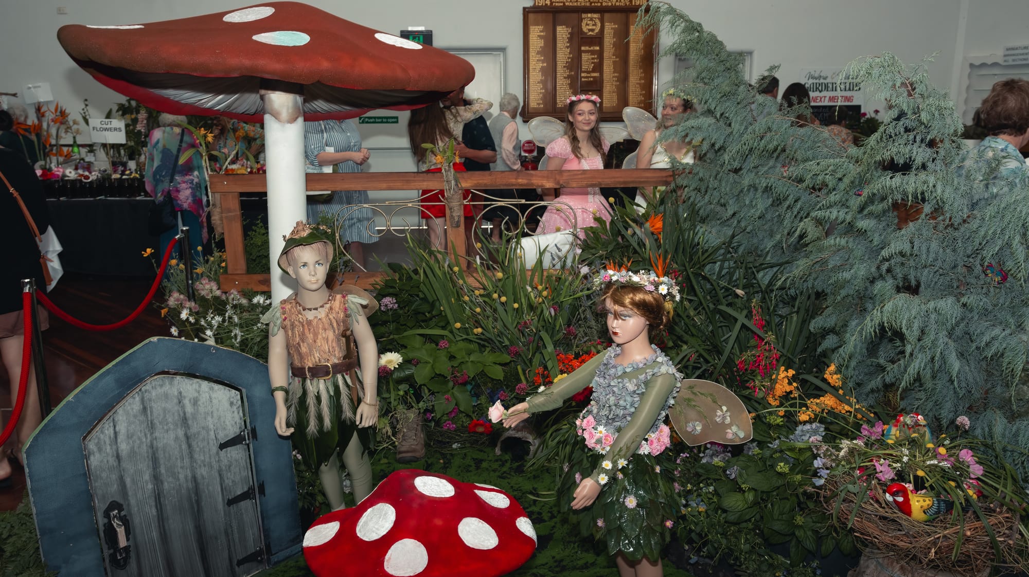 Waikerie’s magical flower show