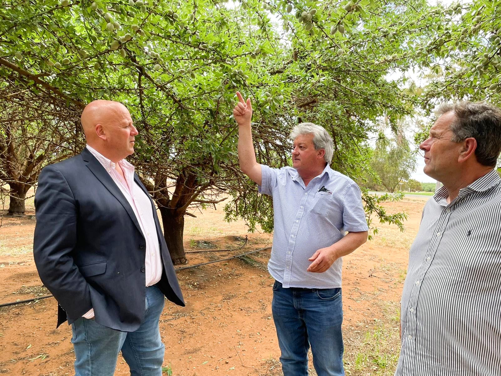 Minister inspects storm-hit crops