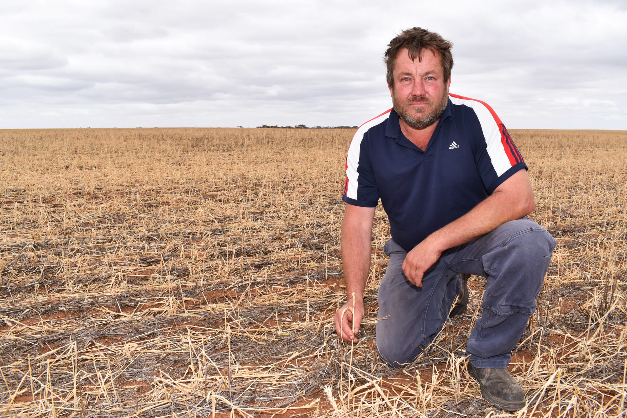 Entire paddocks, sheds and livestock lost