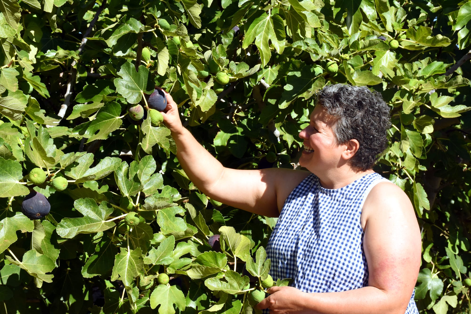 Singing Sue’s praises at SA awards