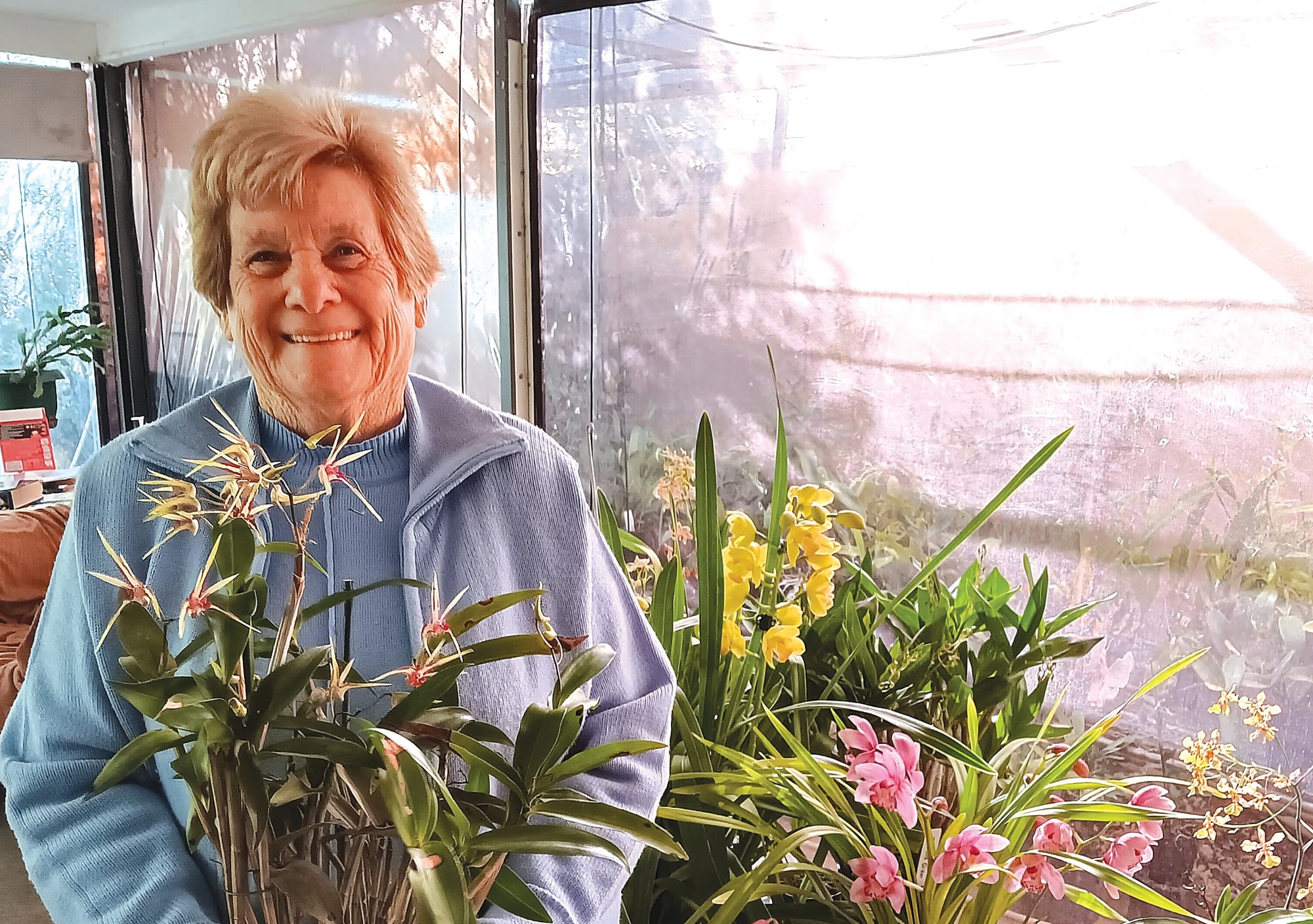 Riverland Orchid Society Winter Show in Barmera