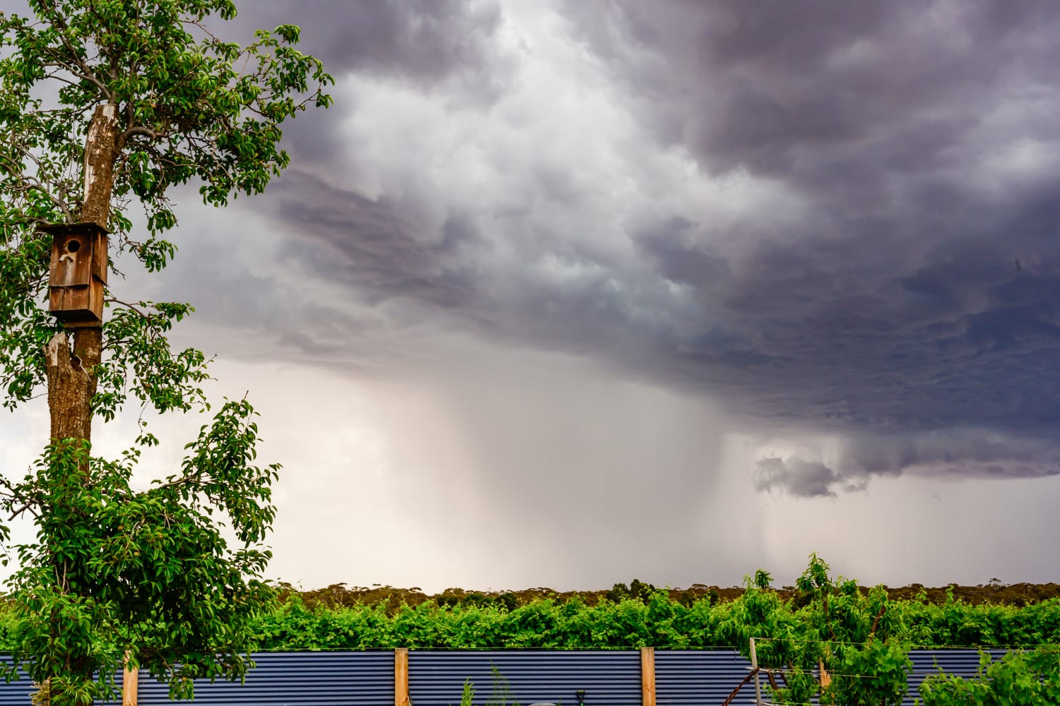 Industry still working toward storm assistance