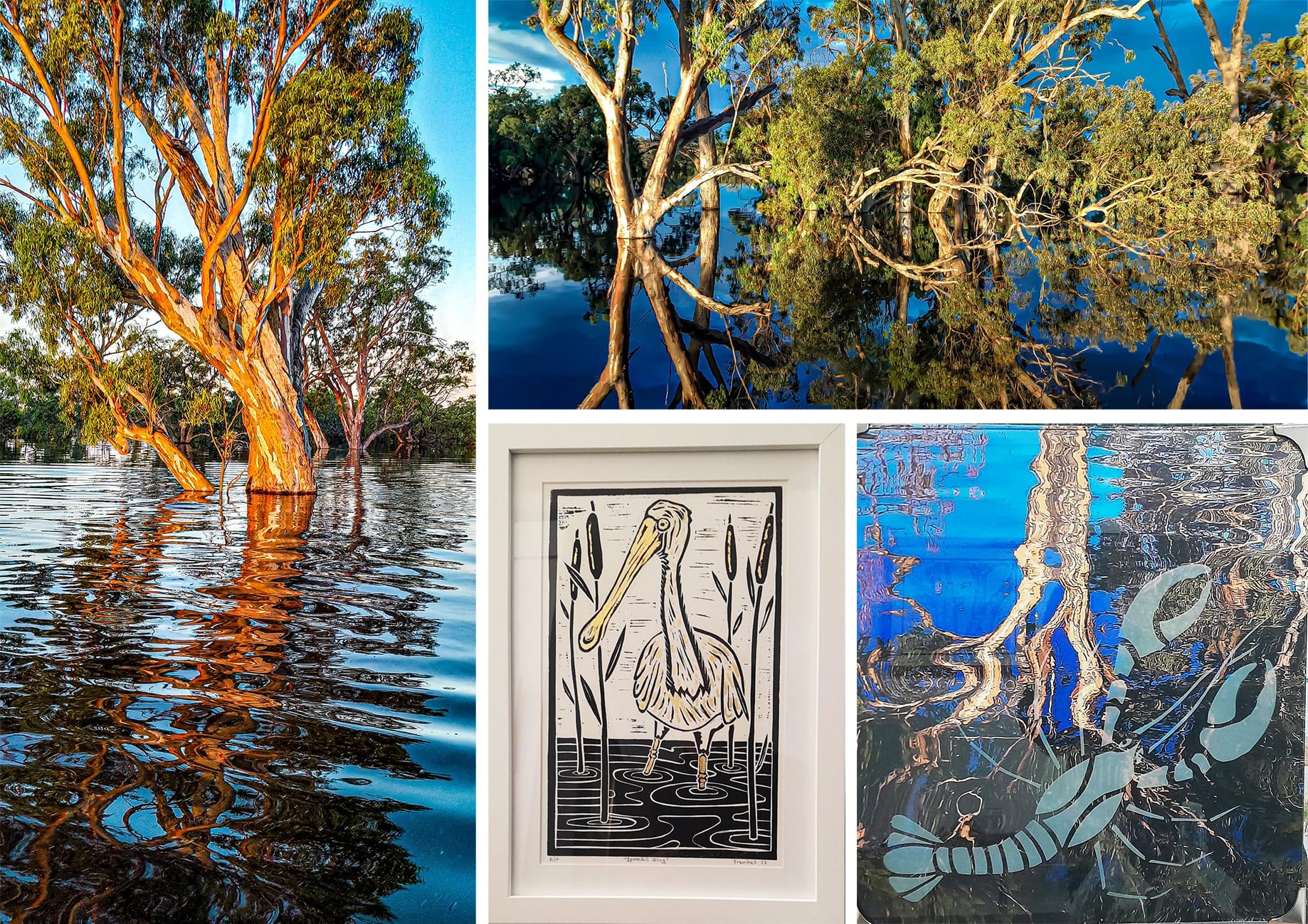 Exhibition portrays nature’s power and beauty