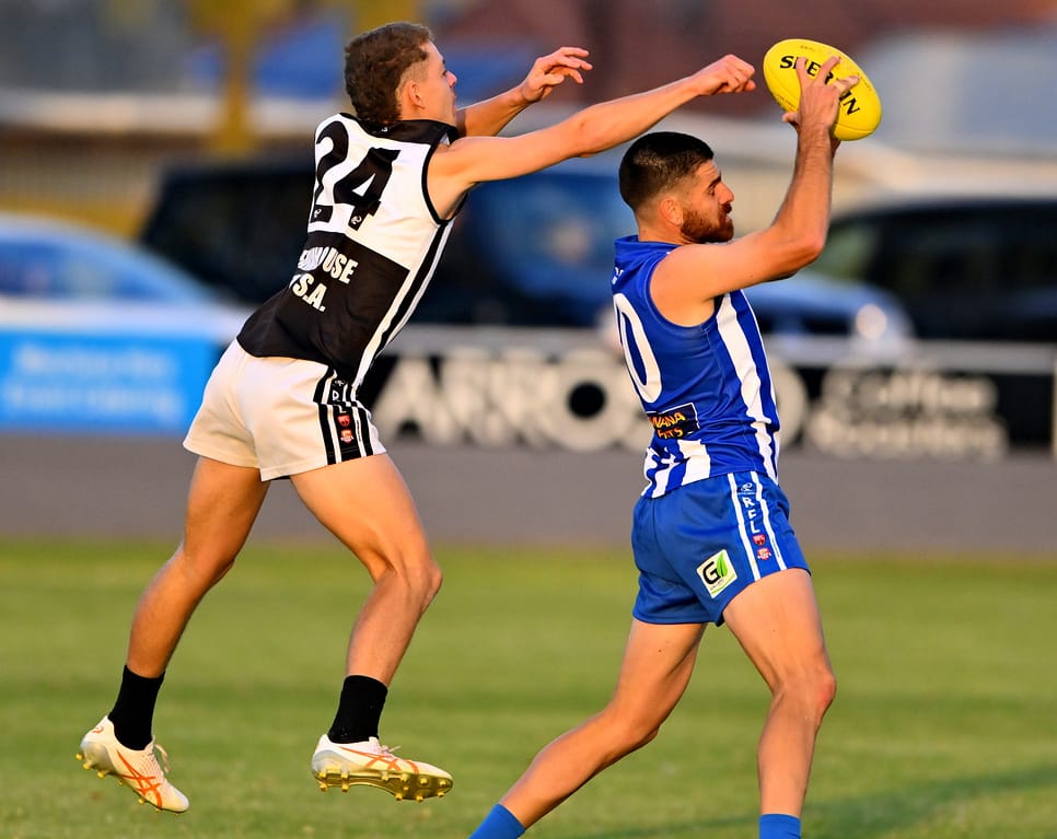 Rovers continue winning ways at the kennel