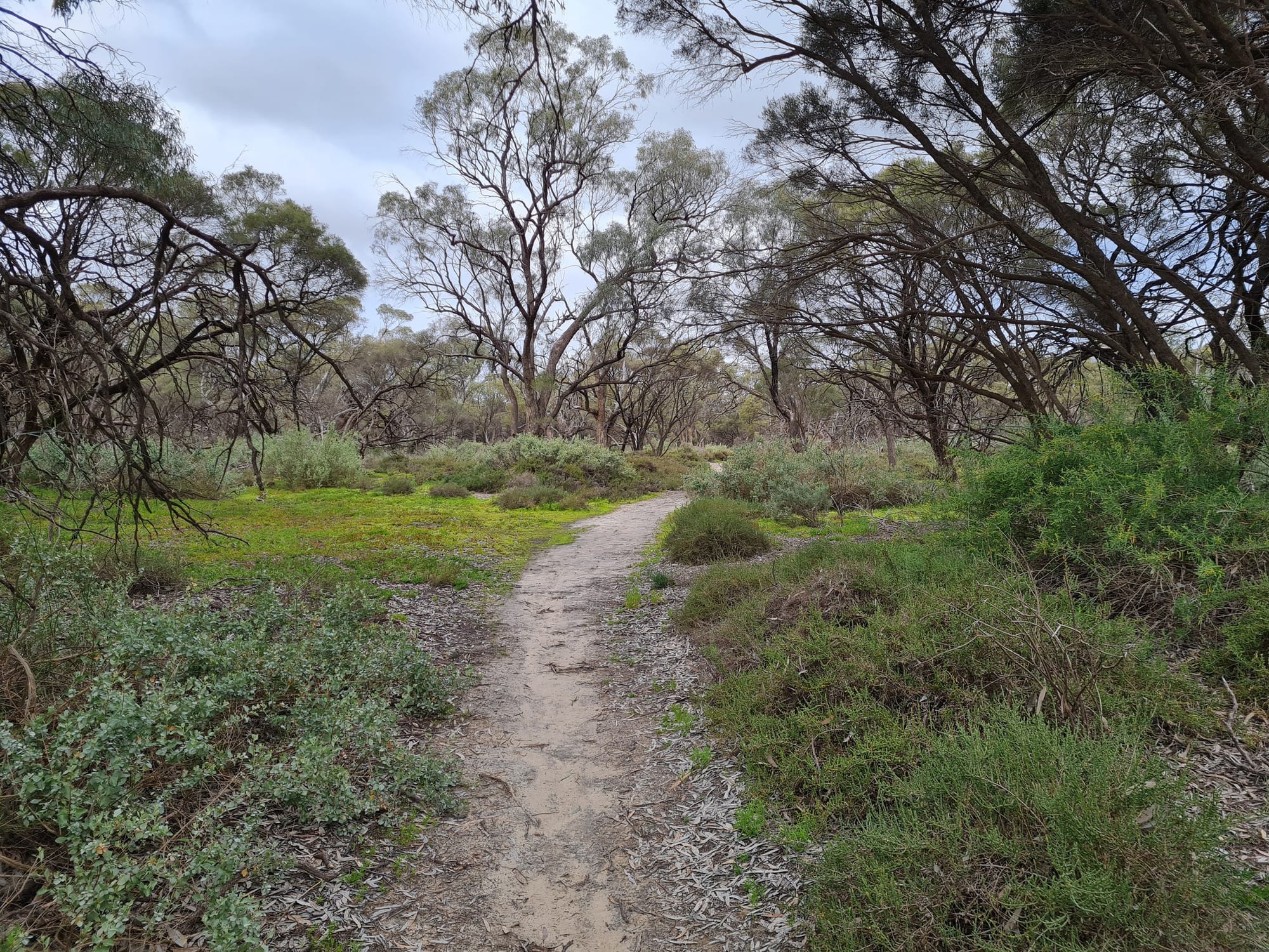 ‘Master plan’ for environmental tourism