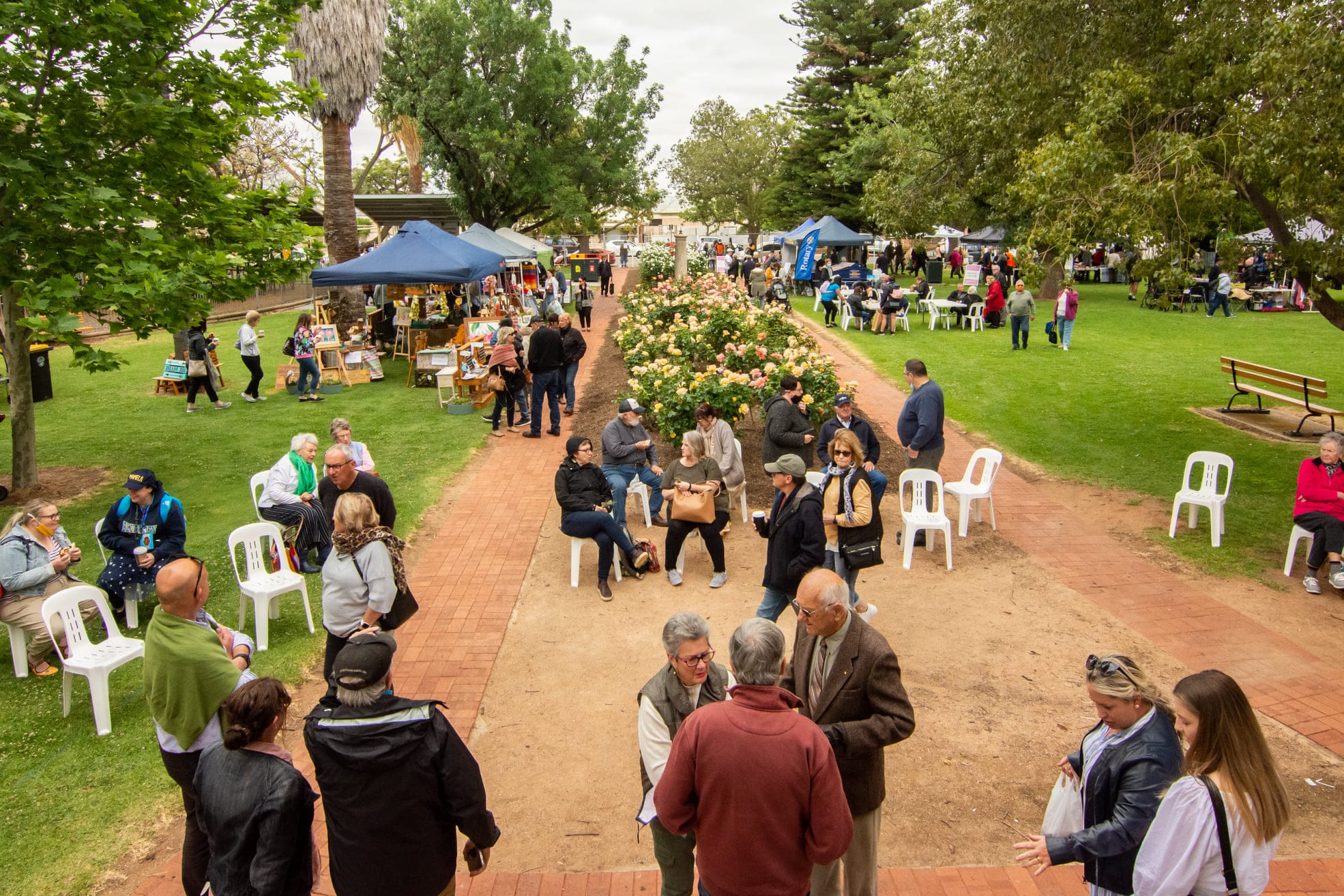 Rose and Garden Festival returns bigger and better