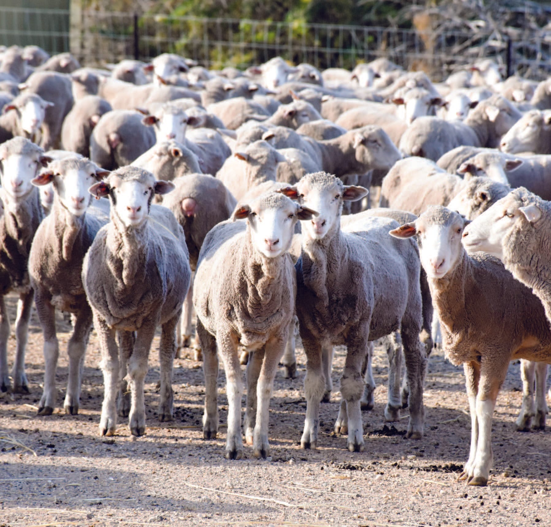 Who should make decisions which affect farmers’ lives?