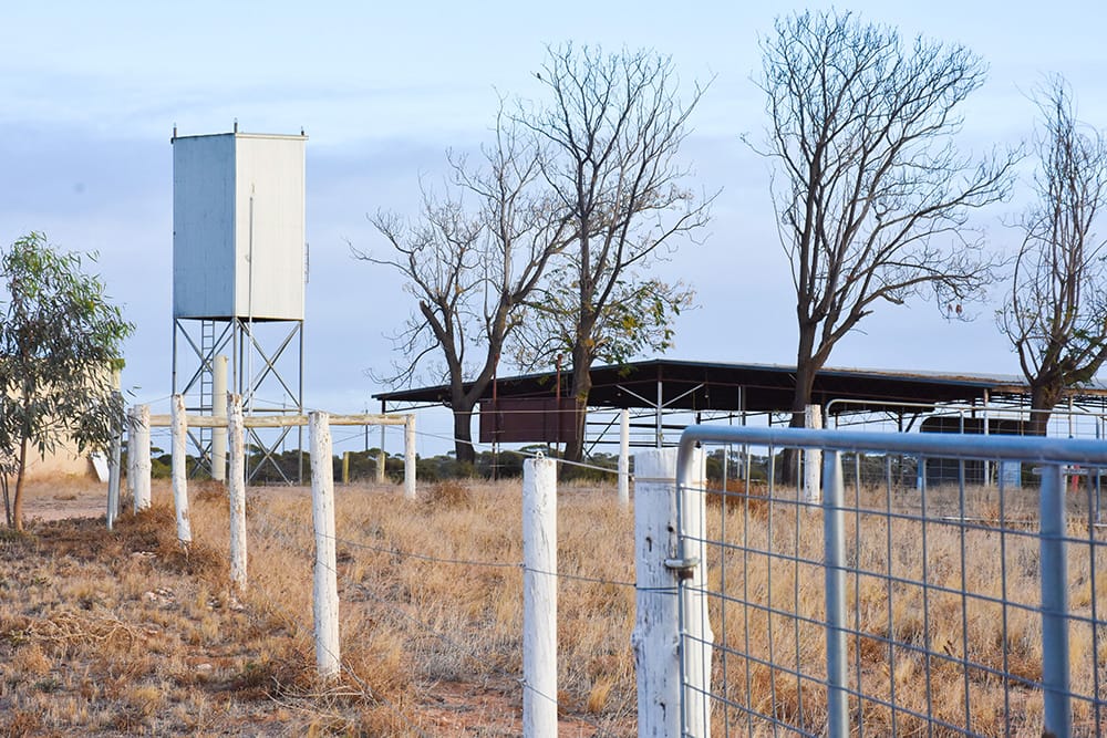 Ex-Riverlander’s vision for horse racing return