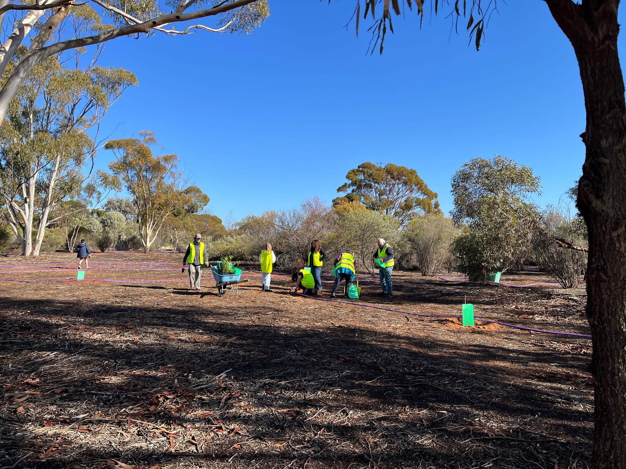 Loxton’s planting community spirit