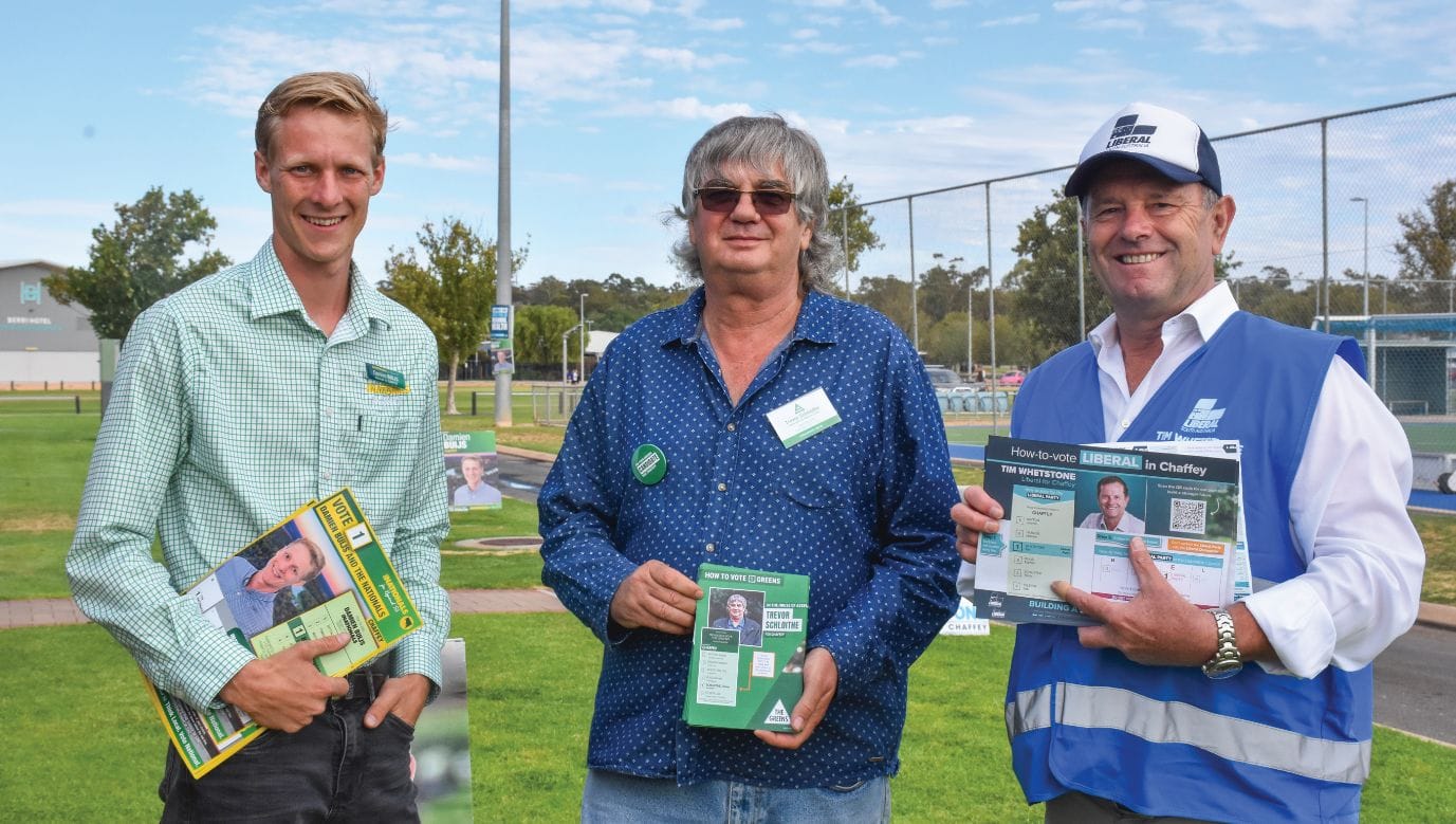 Bookmakers say Tim’s over the line, but Marshall in strife