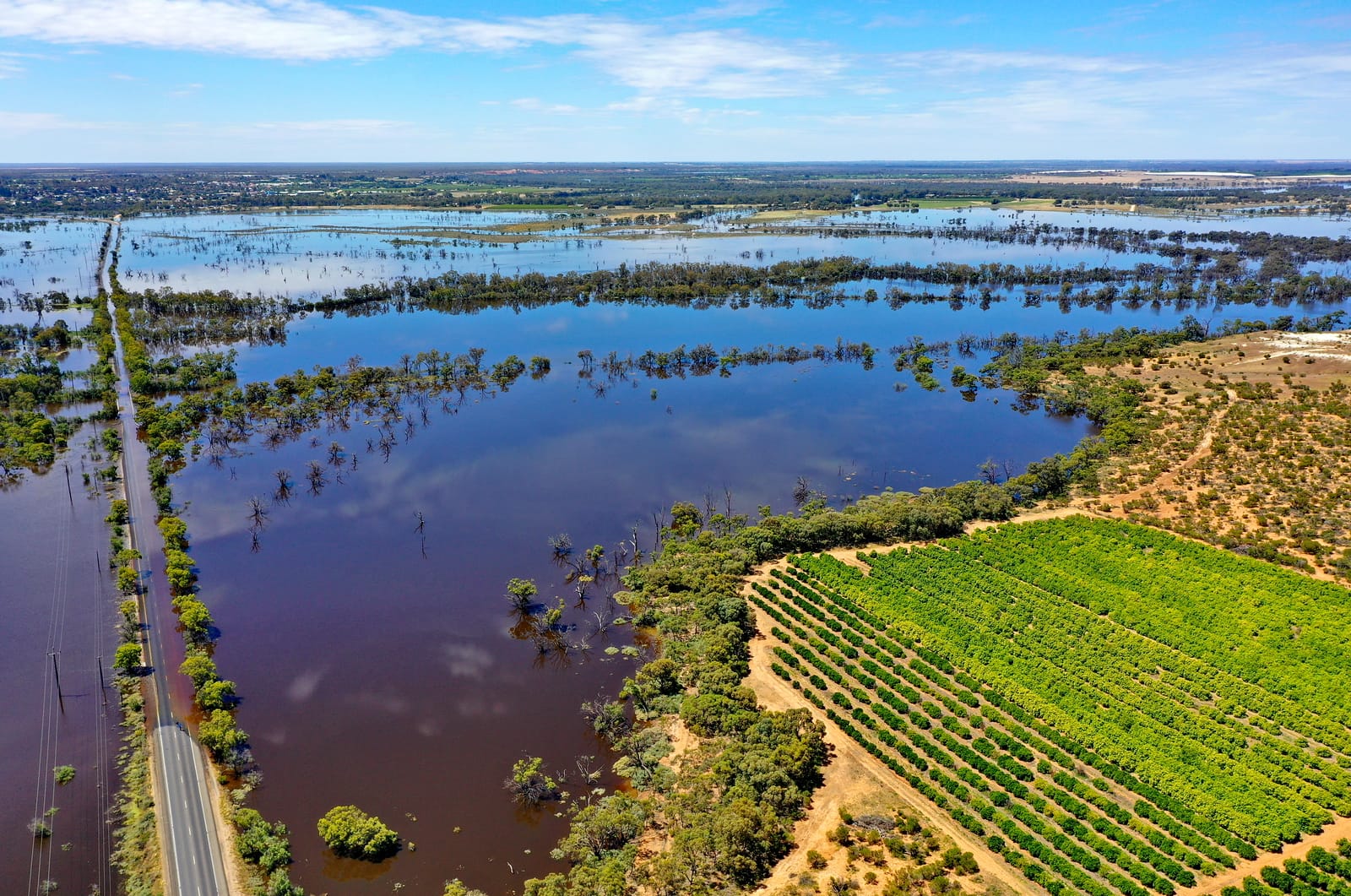 Flood insurance information session in Adelaide next week