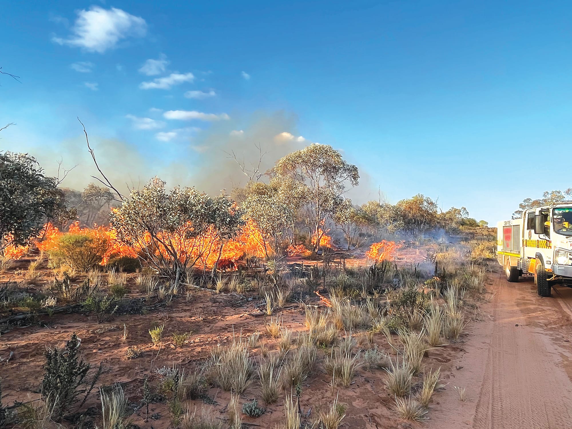 AI to power the state’s new bushfire detection network