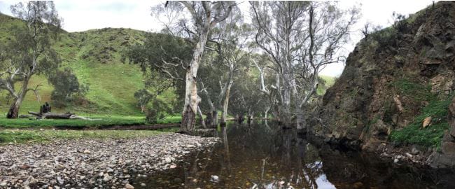 New report highlights health of the Marne Saunders Catchment