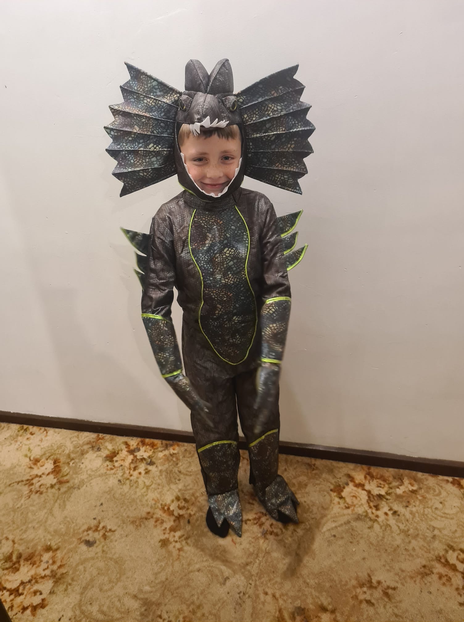 Berri Primary School student Lucas Lawton, 8, as a bearded dragon.