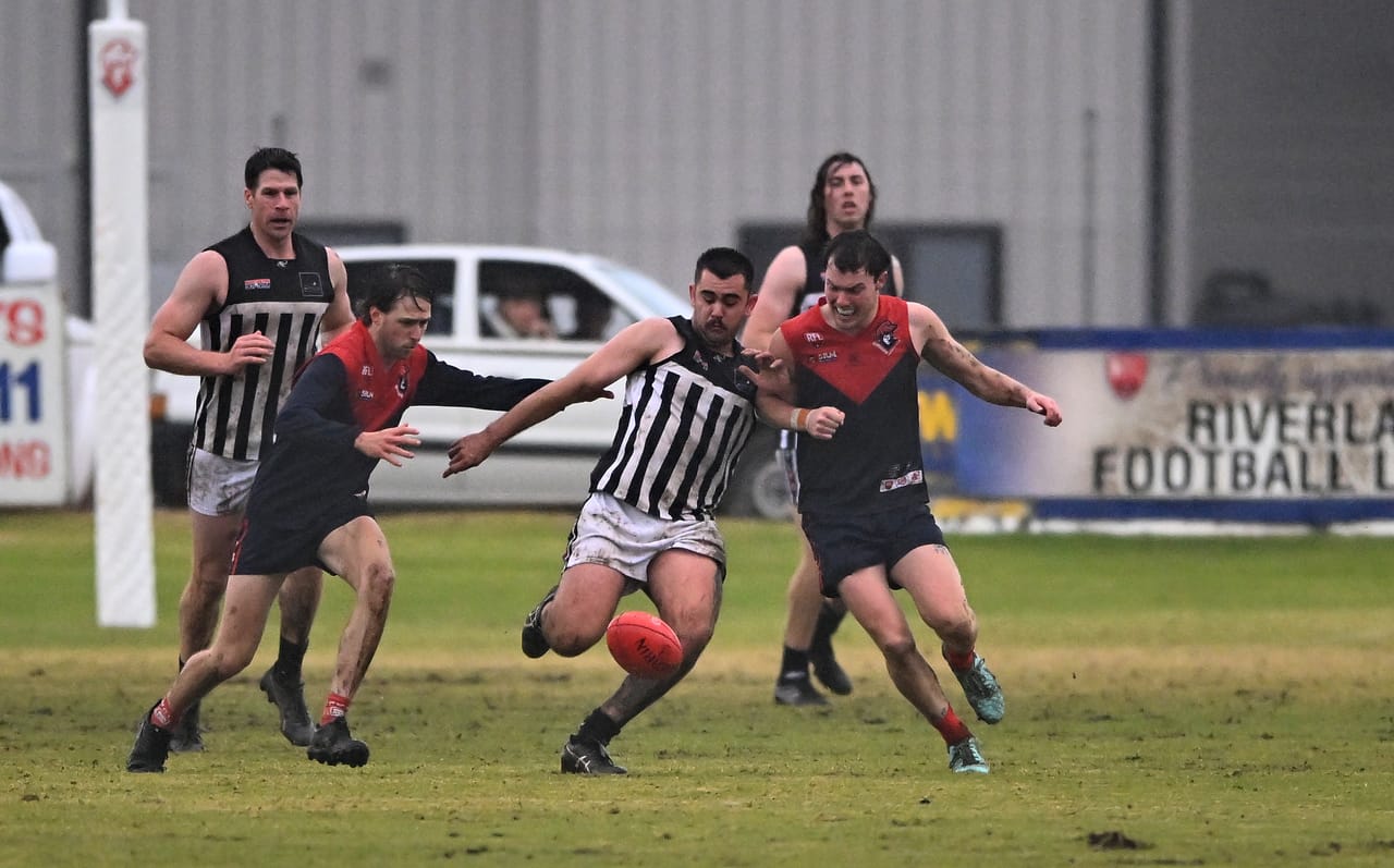 Magpies swoop against lowly Demons