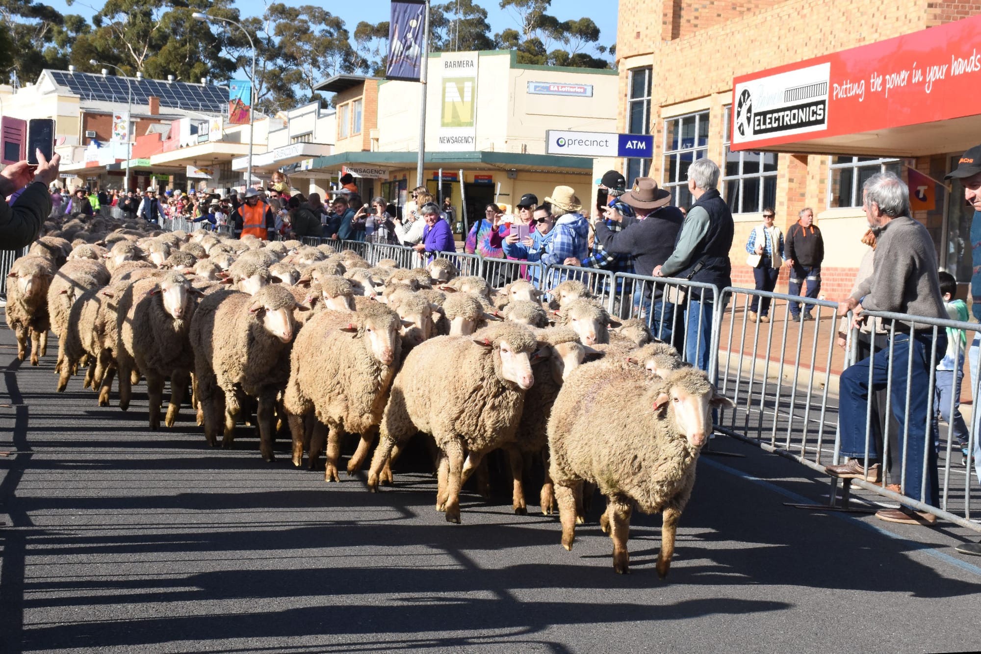 Woolly good turnout on Baa-well Ave