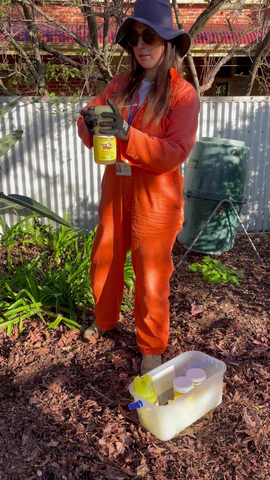 Local Leanne joins fruit fly response team