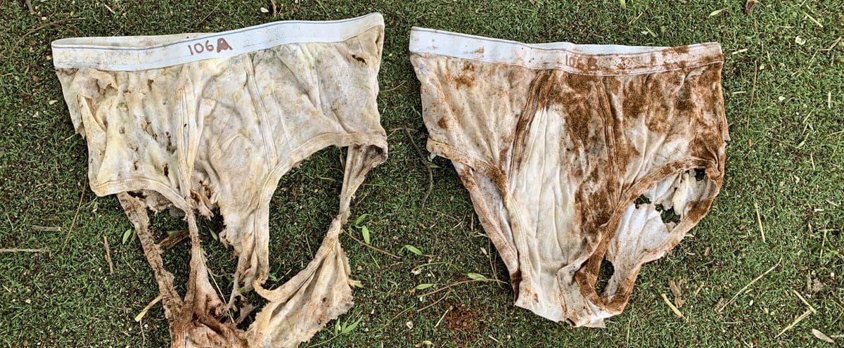 Riverlanders soil their undies for science