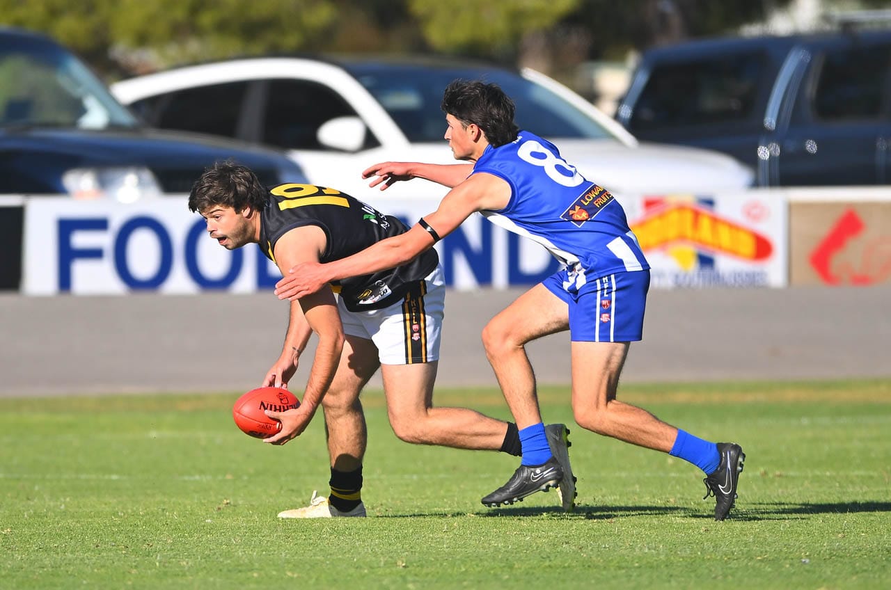 Tiger cubs bring the heat in Renmark