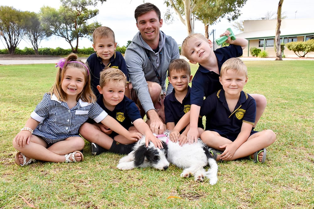 Scout’s ‘paw-sitive’ impact