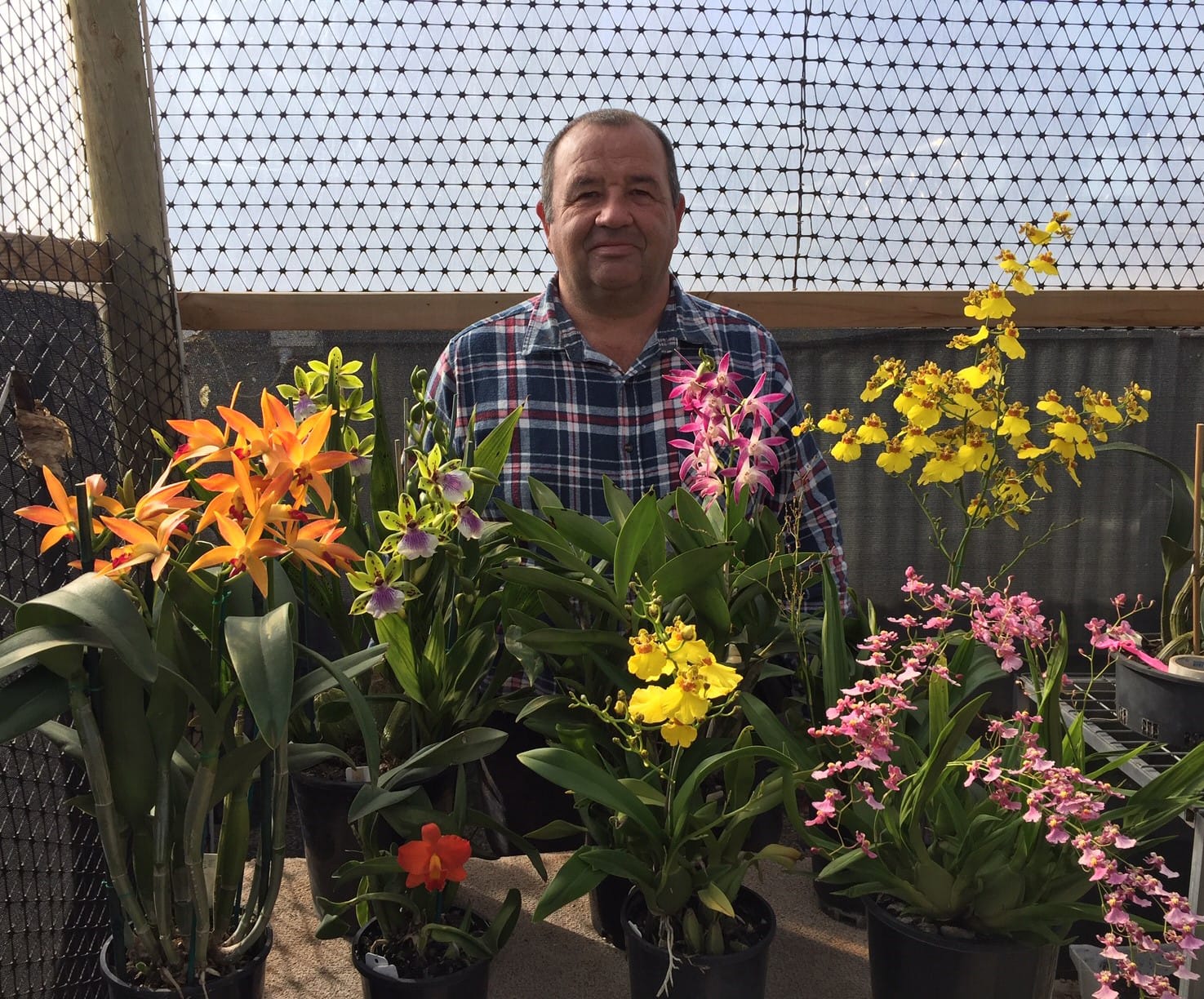 Spirits high for 2024 Winter Orchid Show
