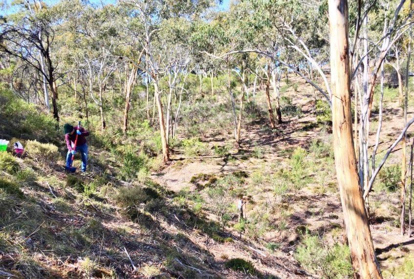 Grants for local environmental projects