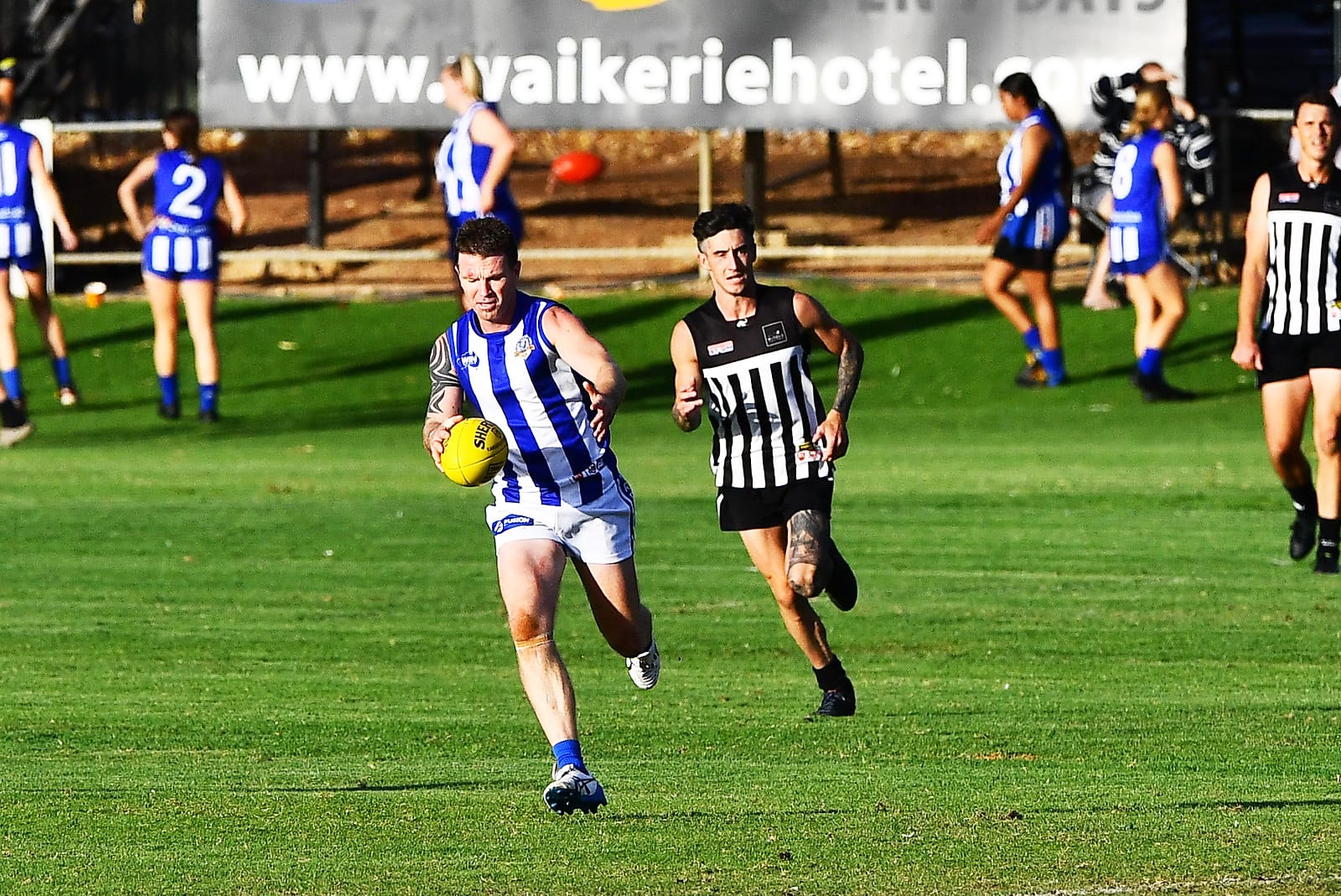 Scrappy dogs remain unbeaten