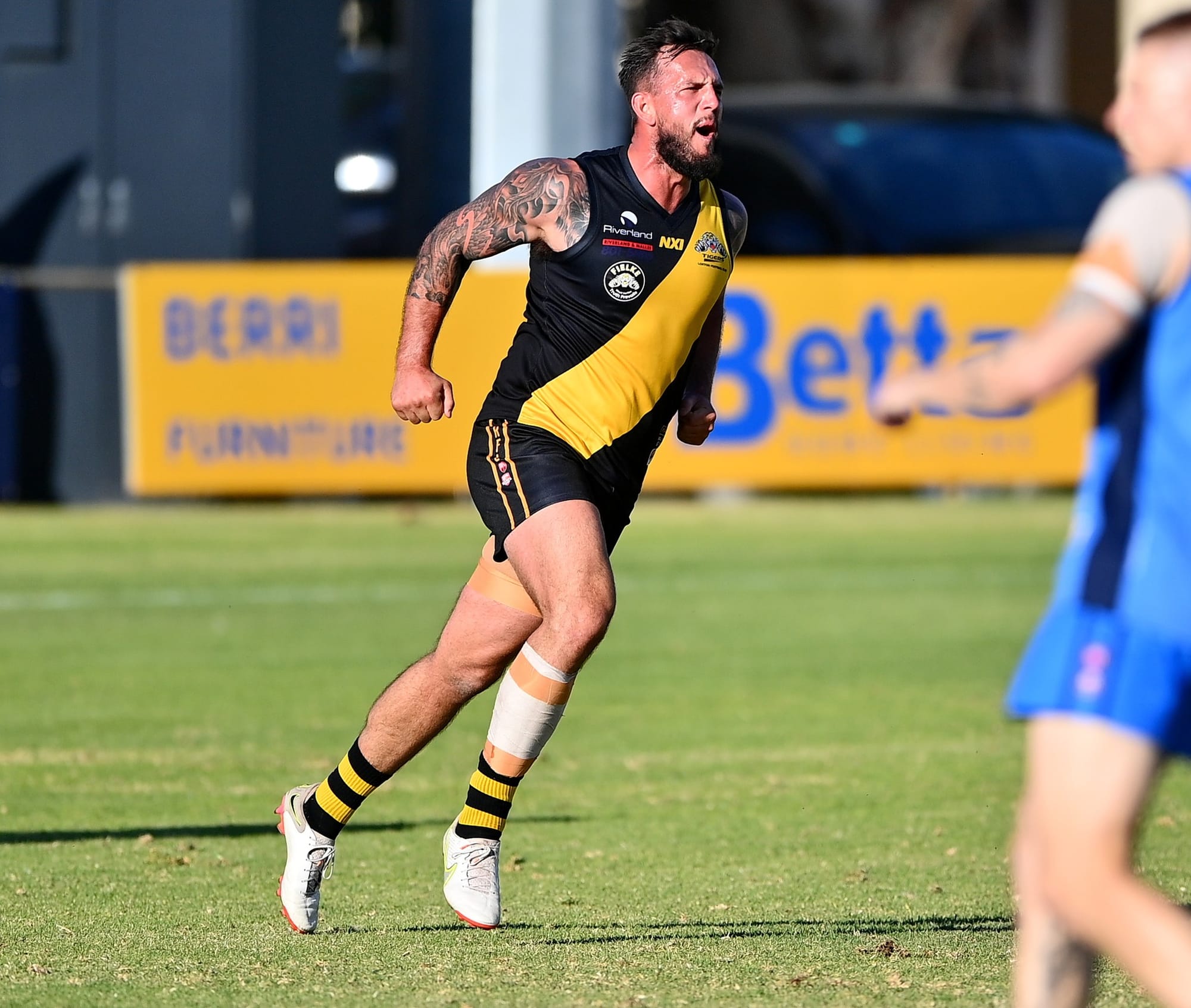 A year in review: Loxton