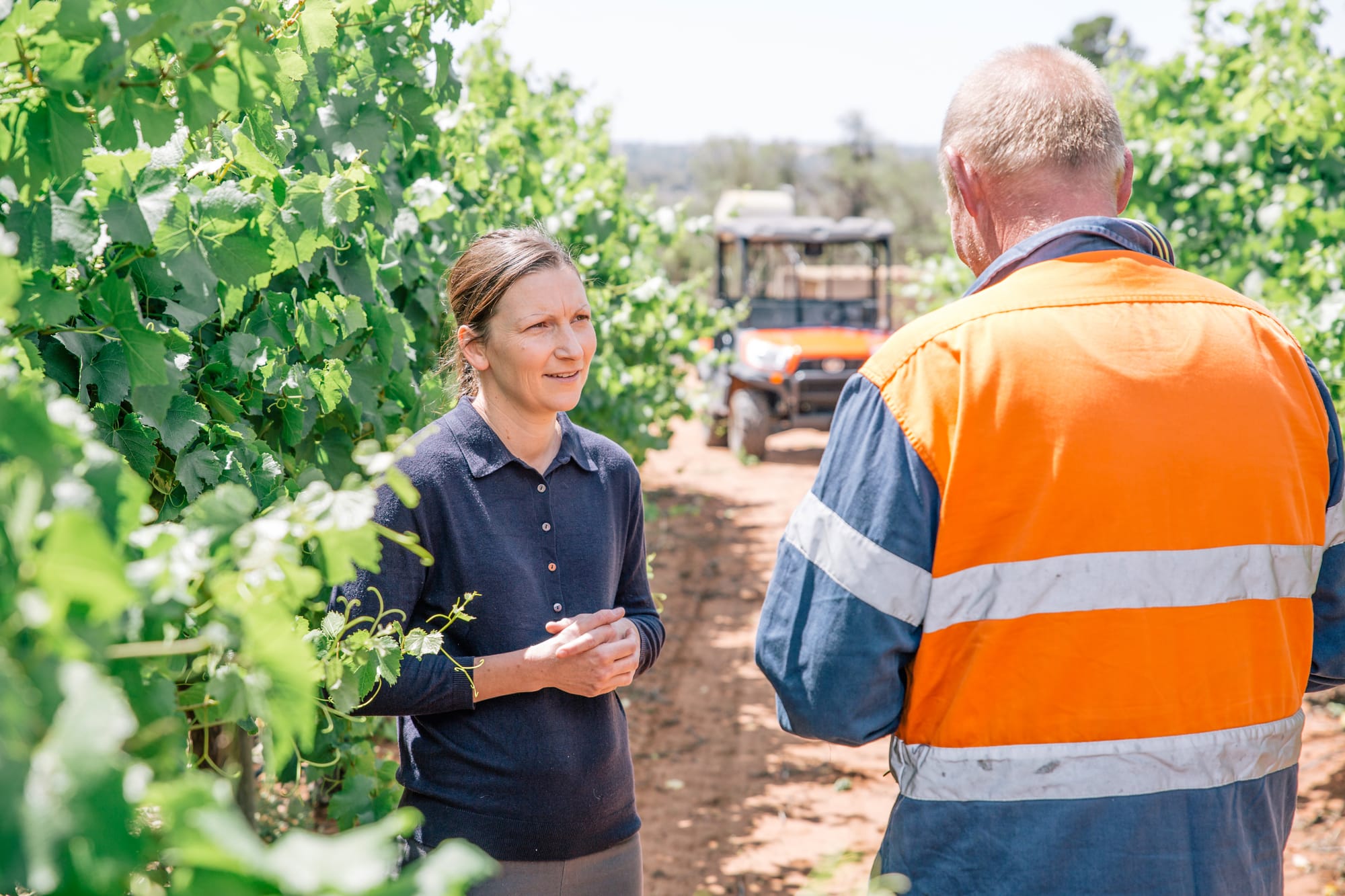 Claim new data reveals cost of buybacks on Riverland...'Devastating'