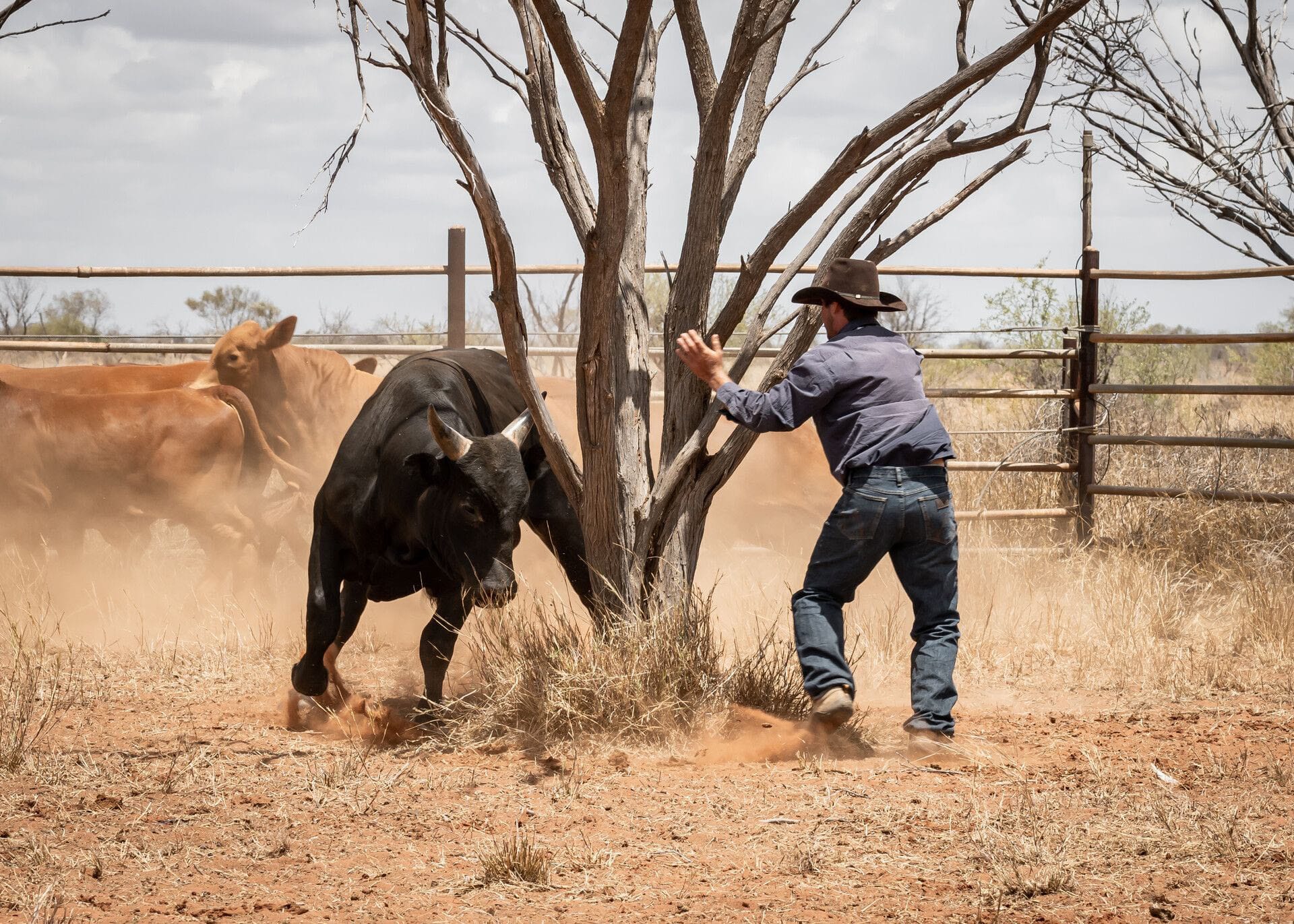 Rural Aid’s Spirit of the Bust photo competition opens for entries