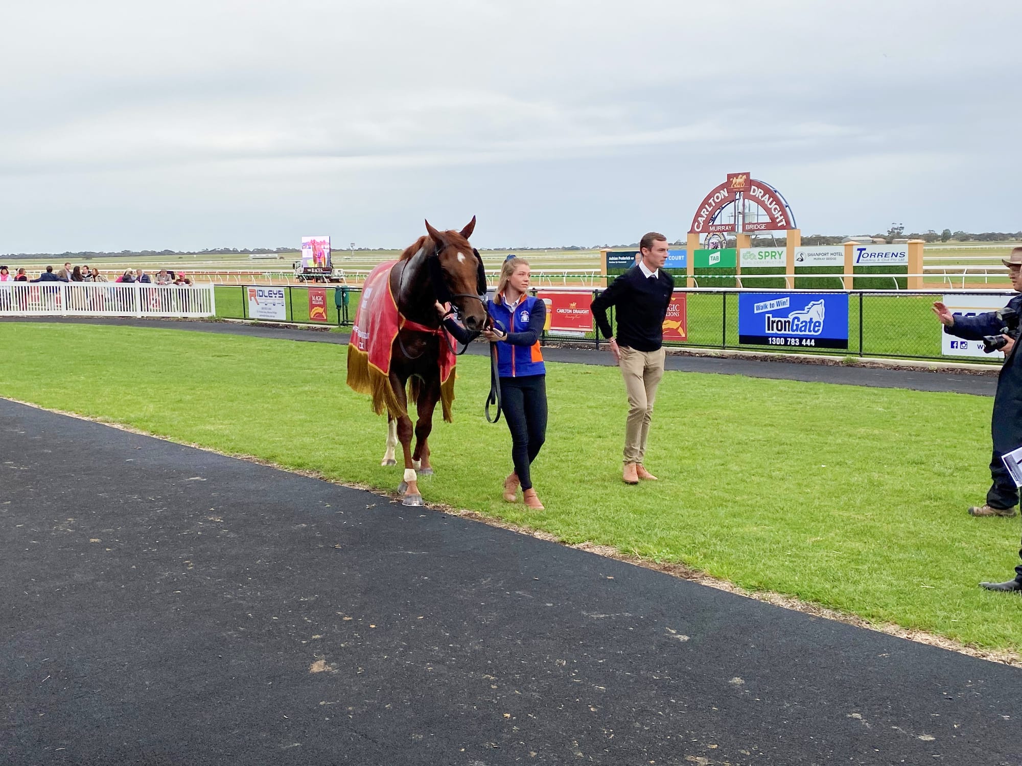 Riverland councils baulk at ‘impossible’ racecourse idea... Scratched