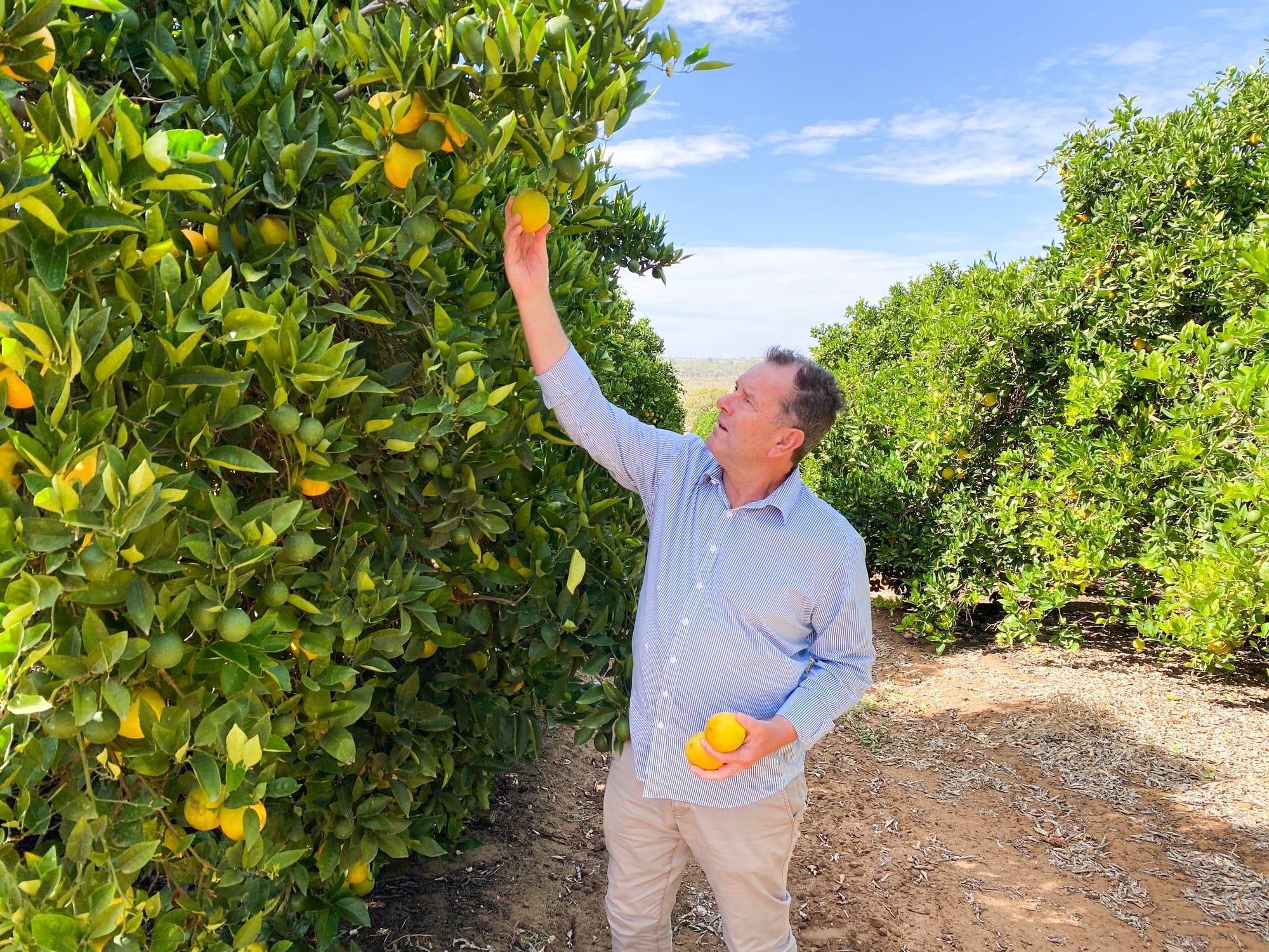 Backyard battle as fruit fly list grows